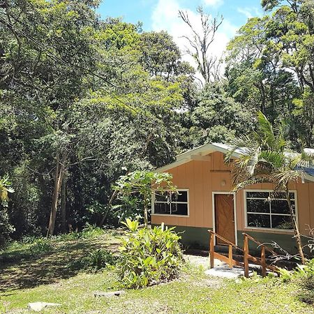 Forest Garden House Monteverde Buitenkant foto