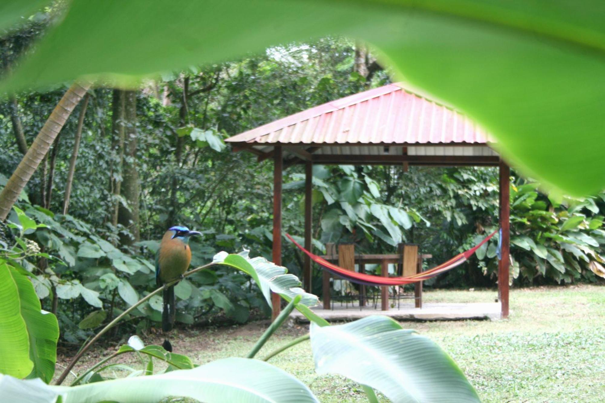 Forest Garden House Monteverde Buitenkant foto